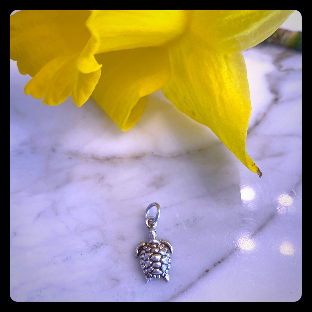 Sterling Silver Sea Turtle Pendant
